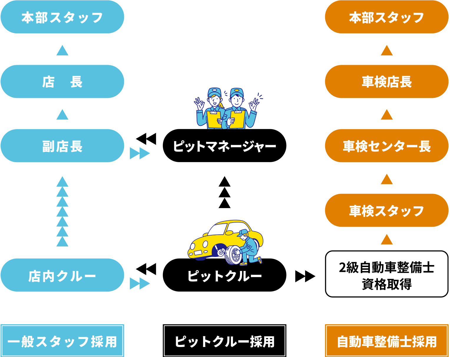 キャリアパス